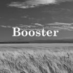 Booster Profile