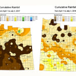 Rainfall comparison