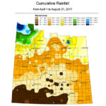 Rainfall Summary