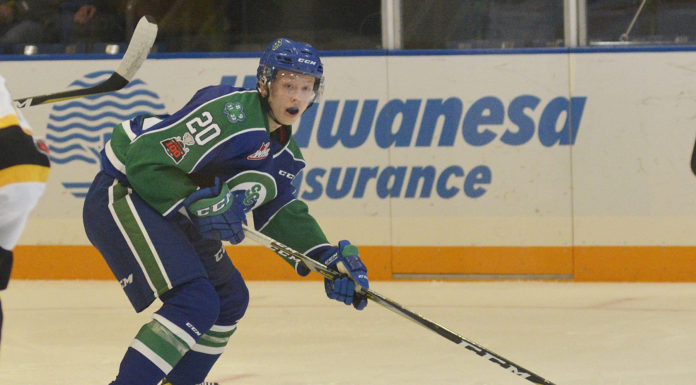 Heponiemi picks up assist in Finland win