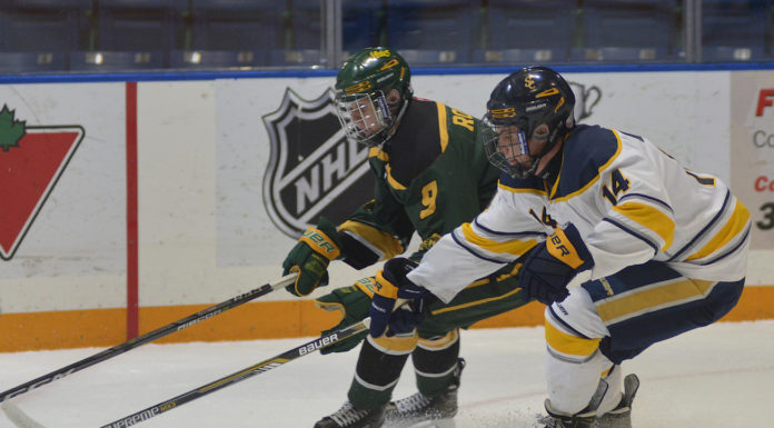 Legionnaires fall to visiting Mintos