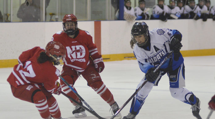 Wildcats lose in overtime to Hounds