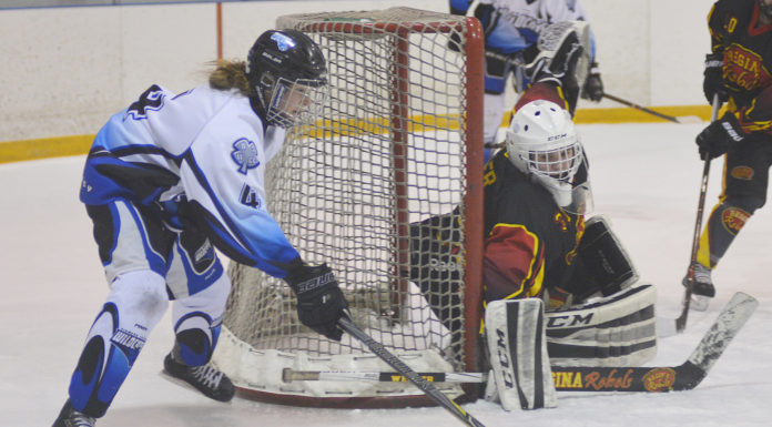 Wildcats eliminated from SFMAAAHL playoffs