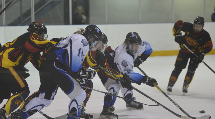 Wildcats facing playoff elimination after home loss