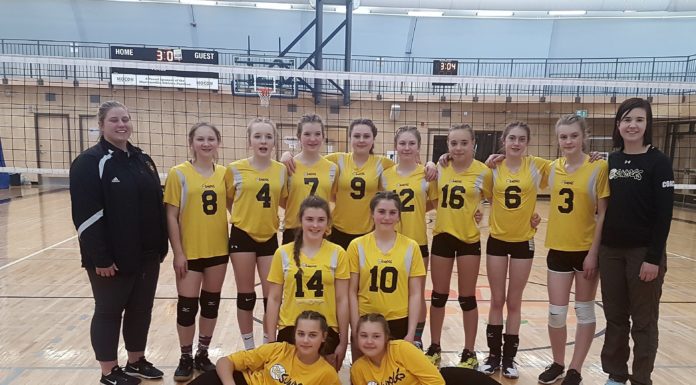 14U Yellow SunDogs win B side title