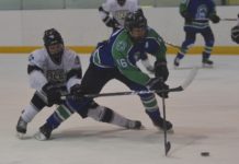 Cash Arntsen drafted by Blades