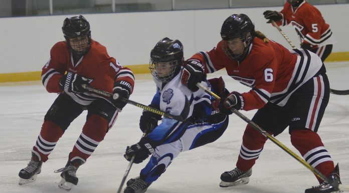 Wildcats off to prolific start