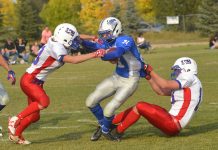 Lions overpower Bulldogs