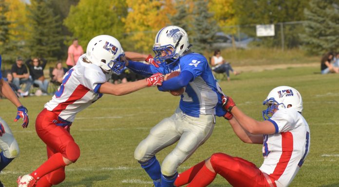 Lions overpower Bulldogs