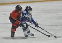 Atom Broncos drop a pair to visiting Terriers