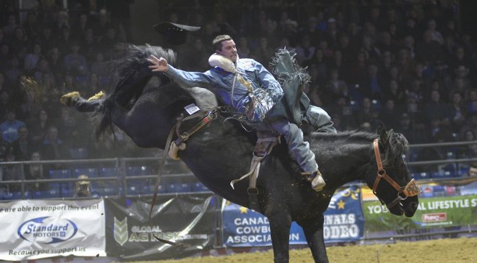 Four Southwest winners at CCA Finals