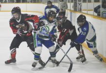 Peewee Broncos lose battle with Warriors