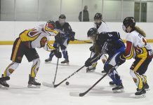 Wildcats split with Rebels