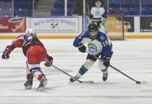 Female Midget AA Broncos swept by Fire