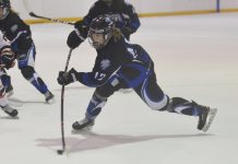 Wildcats flex offensive muscle against Sharks