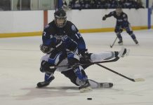 Wildcats extend winning streak to six games