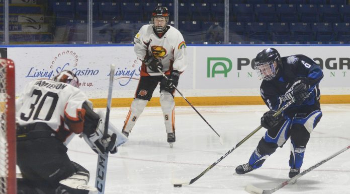Wildcats fall in SFMAAAHL standings