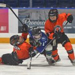 Atom AA Broncos