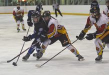 Wildcats season ended by bad bounce goal in overtime