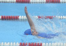 Stingrays attack home pool
