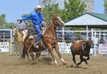 Southwest competitors cash in at Herbert Stampede