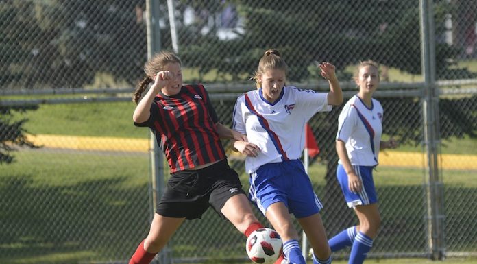 Ardens win twice on opening day