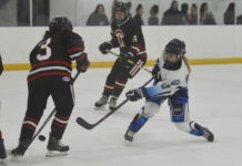 Wildcats unbeaten in home tournament