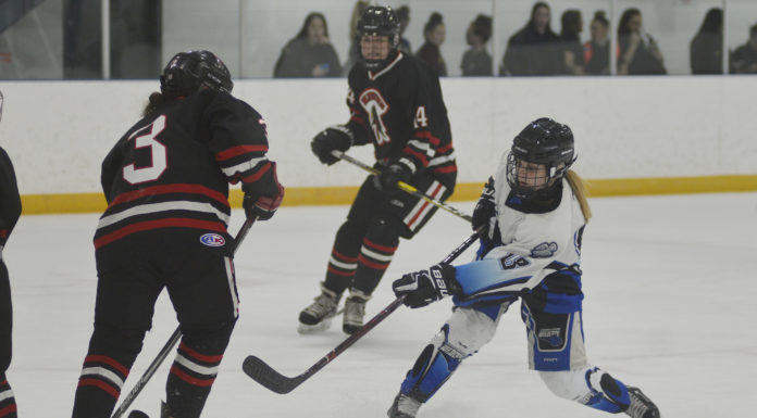 Wildcats unbeaten in home tournament