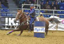Southwest entries move up after strong Friday night at CCA Finals Rodeo