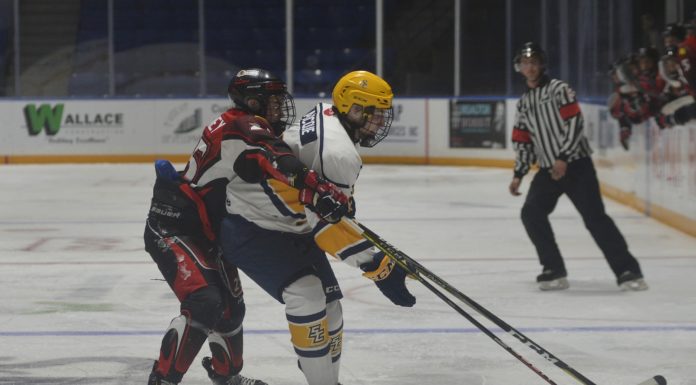 Legionnaires split with Blackhawks