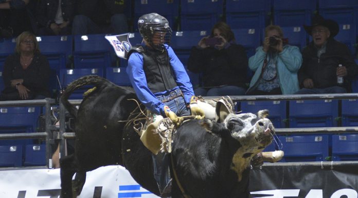 Perrins lead Southwest at CCA Finals