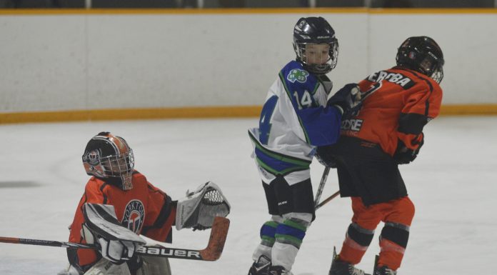 Atom Broncos double up Terriers