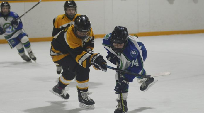 Peewee AA Broncos defeat Bruins