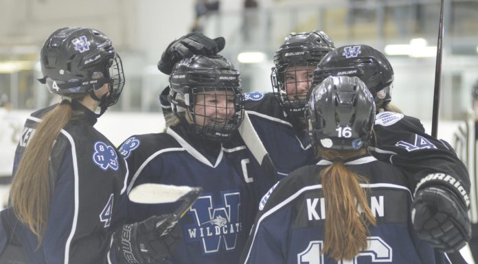 Wildcats take care of Wings