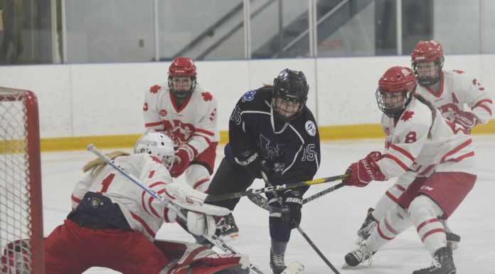 Wildcats shutout Hounds