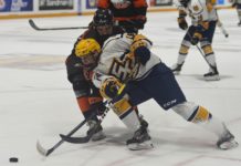 Legionnaires take two from Maulers
