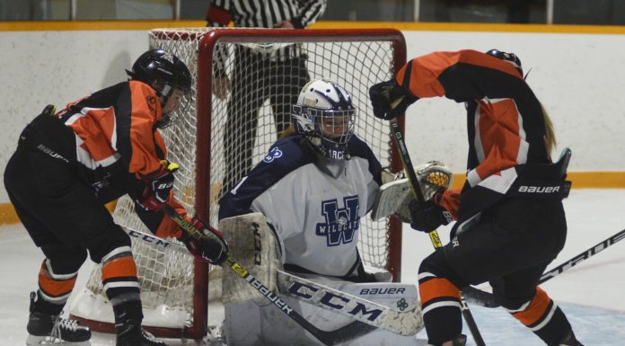 Bantam AA Wildcats to clash with Foxes in provincial final