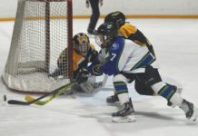 Atom Broncos win final game before season shut down