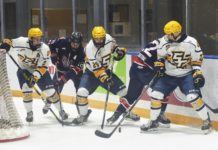 SFU18AAAHL and SMAAAHL postpone seasons