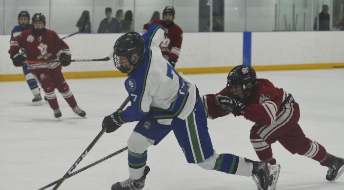 Herman signs with Pats