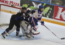 Stevenson fights his way into the AHL