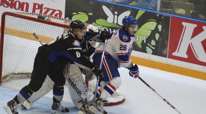 Stevenson fights his way into the AHL