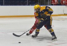 Arntsen signs with Ice Wolves