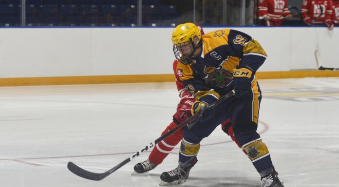 Arntsen signs with Ice Wolves