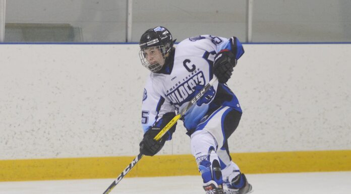 Wildcats skating south of the border