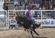 Locals thrive at Herbert Stampede