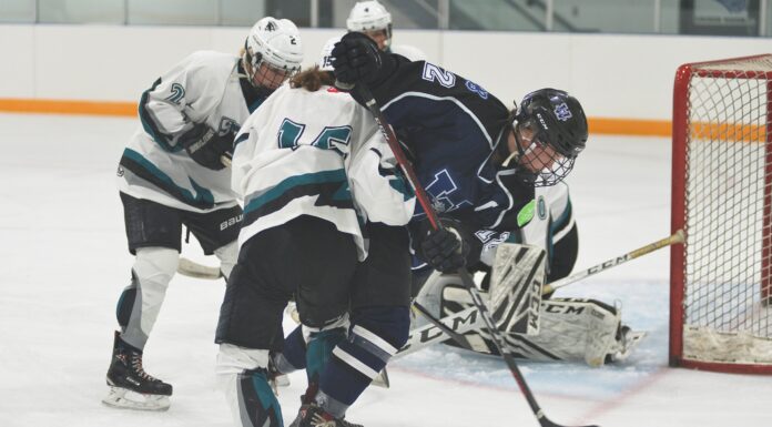 Wildcats working towards regular season form