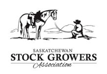 Saskatchewan producers require additional drought-survival measures