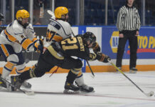 Legionnaires lose twice to league leading Wildcats
