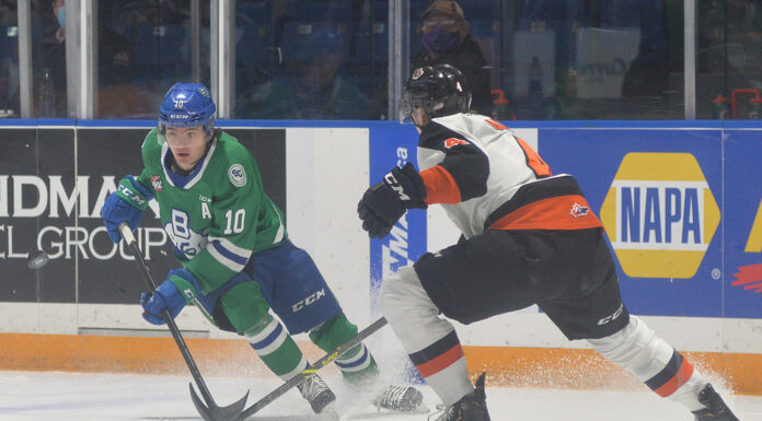 Broncos abuse Tigers in home win